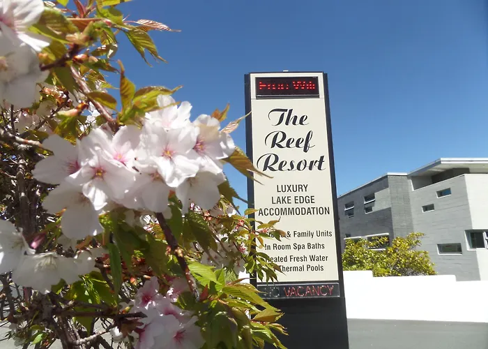 Hotel with pool: The Reef Resort