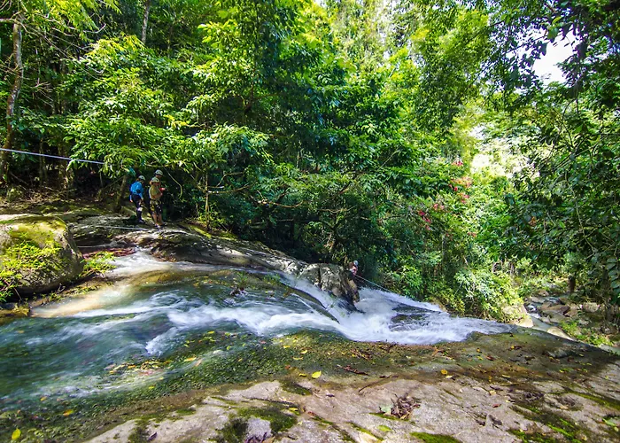 Bocawina Rainforest Resort