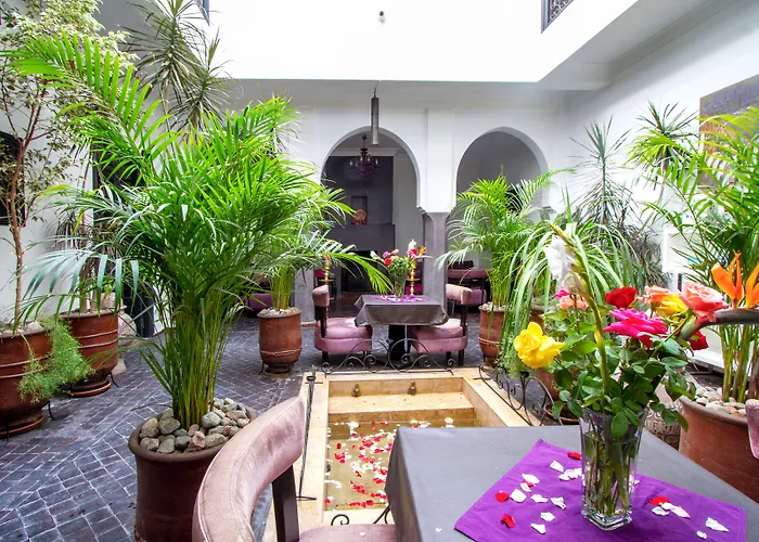 Spahotel: Ryad Amiran & Spa