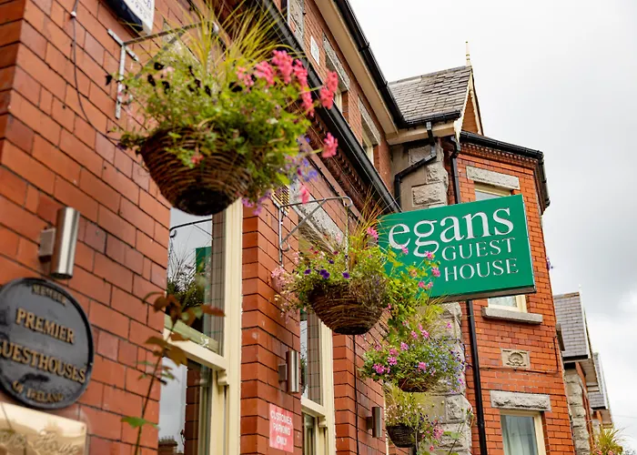 Hôtel accueillant les animaux: Egans House