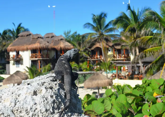Hotel Piedra Escondida