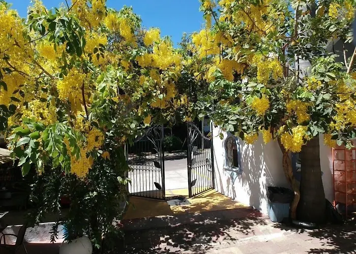 Hotel nahe College: Hotel Posada Santa Fe