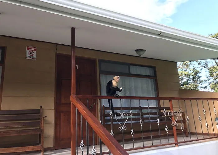 Dreams Lodge