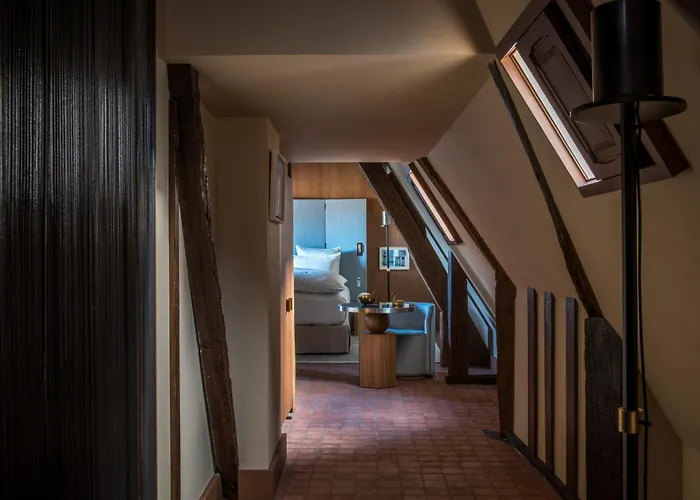 Animaux admis Cour Des Vosges