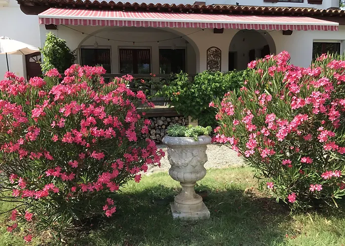 B&B: La Villa du Parc