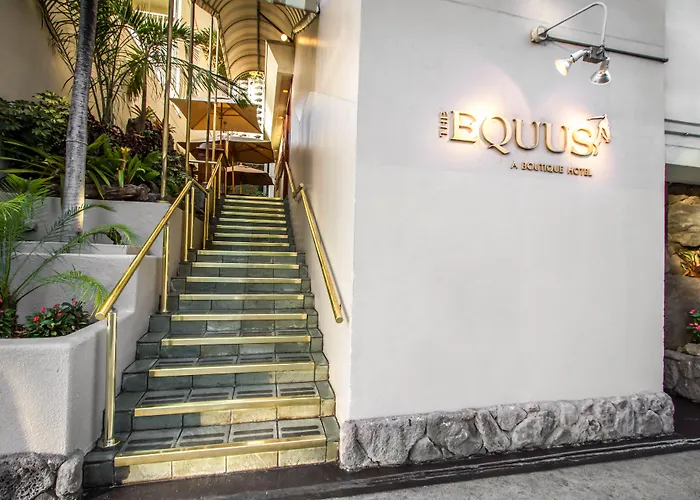 Hotels Close to Airport Equus