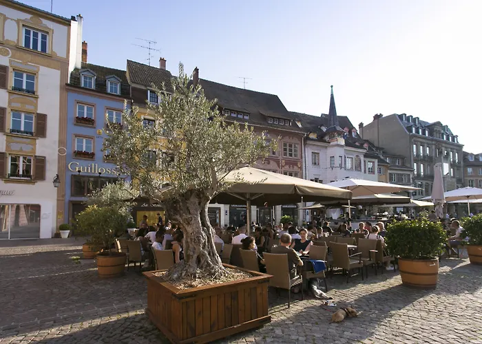Hôtel accueillant les animaux: Zenao Appart'hôtel Mulhouse
