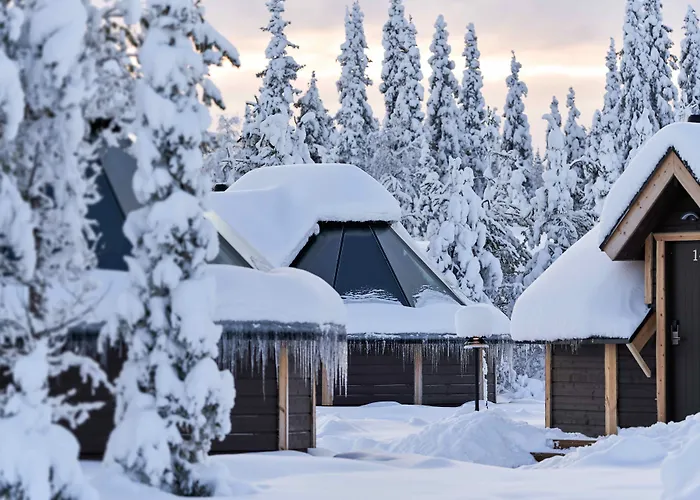 Hotel que admite mascotas: Northern Lights Village Levi