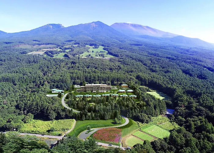 The Hiramatsu Karuizawa Miyota