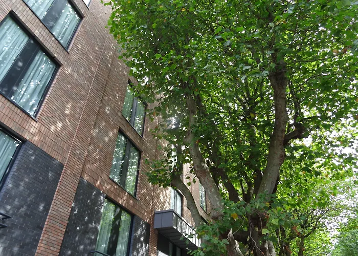 Hôtel accueillant les animaux: Dublin One