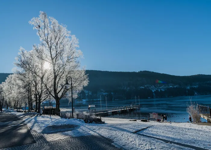 Hotel mit Pool: Hotel Bären Titisee