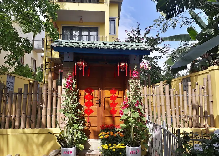 Pink Tulip Hoi An