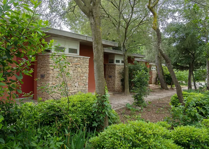 Hôtel accueillant les animaux: Auberge de Jeunesse HI Nîmes