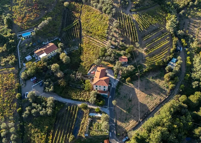  La Collina