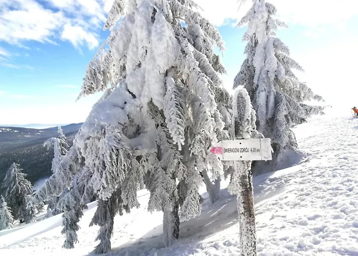 Hotel: Interferie Aquapark Sport Hotel Malachit