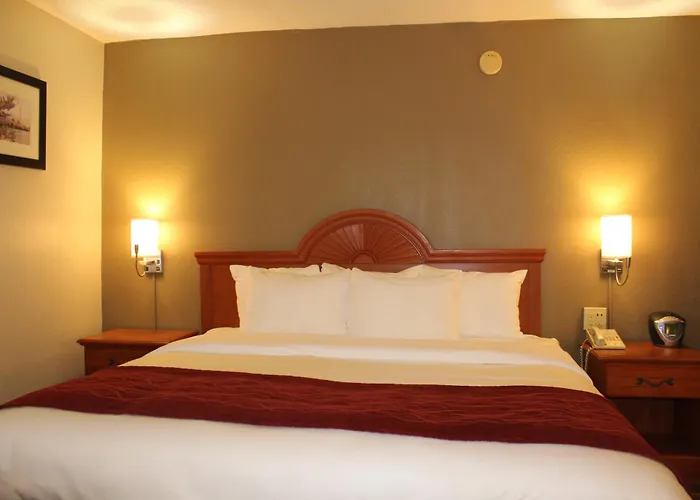 Boutique hotel only: Comfort Inn University Center