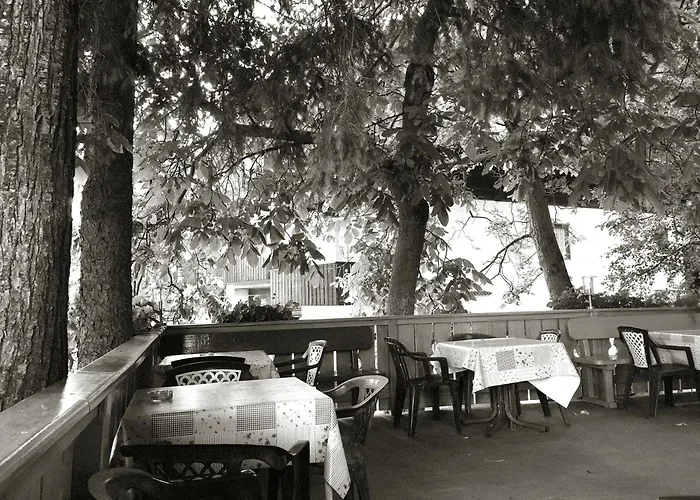 Hotel adatto agli animali: Gasthaus Gasteiger