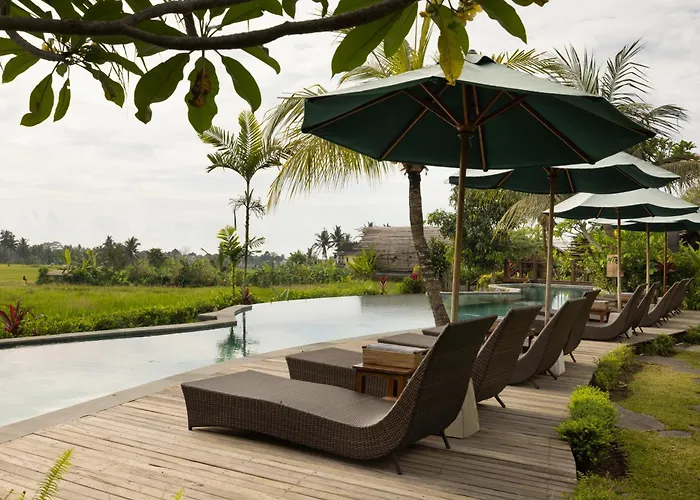 Beehouse Dijiwa Ubud