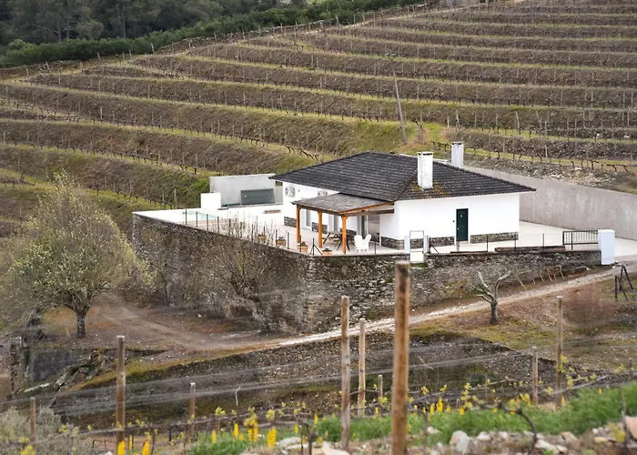 Feel Discovery Quinta Do Muro Douro Valley