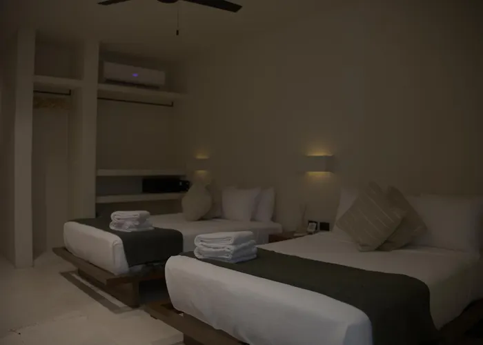 Pet Friendly hotel: Downtown Tulum Hotel (Adults Only)