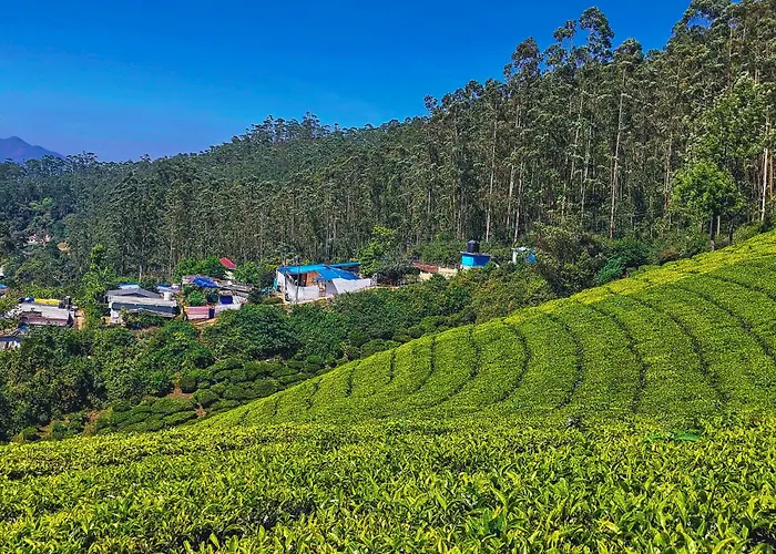 Valley View