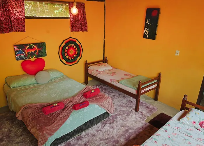 Hotel de praia: Eco Hostel Organic Life