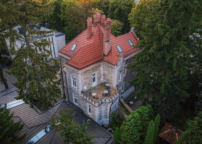 Lion'S Castle