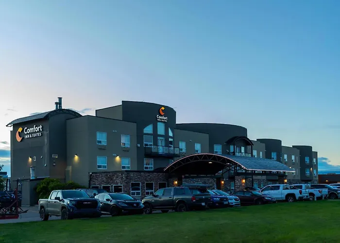Dog friendly hotels Comfort Inn & Suites