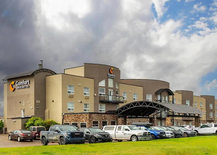 Dog friendly hotels Comfort Inn & Suites