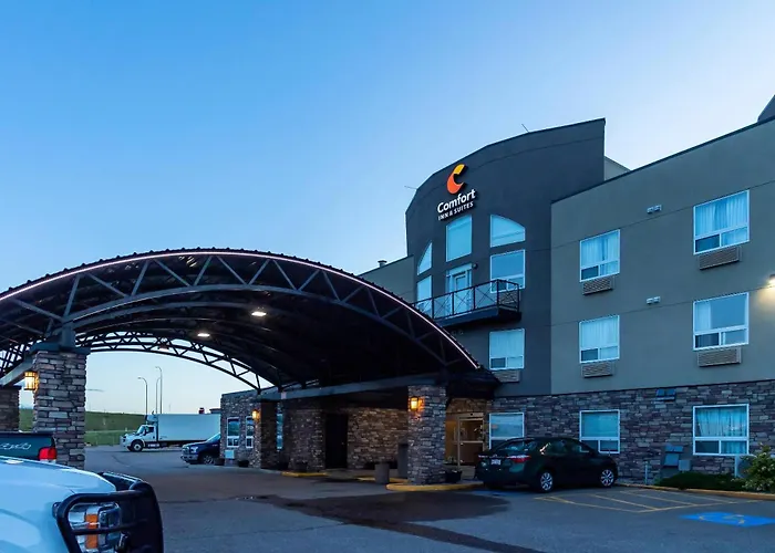 Dog friendly hotels Comfort Inn & Suites