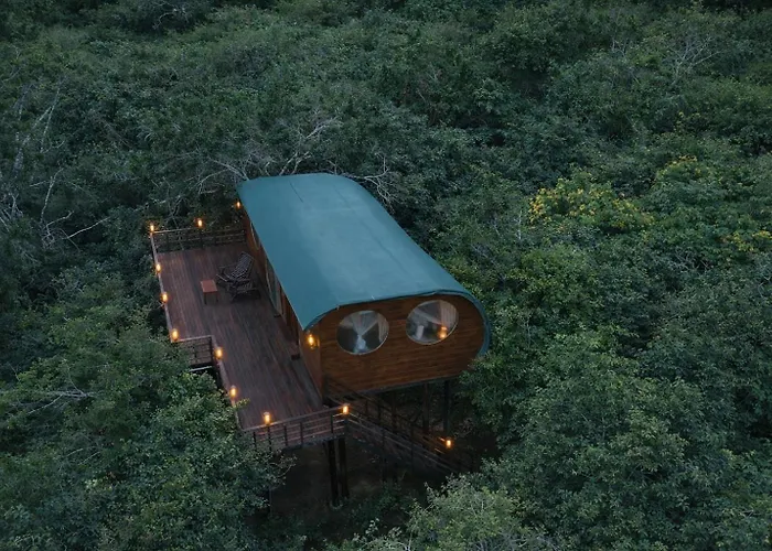 Leopard Nest In Yala