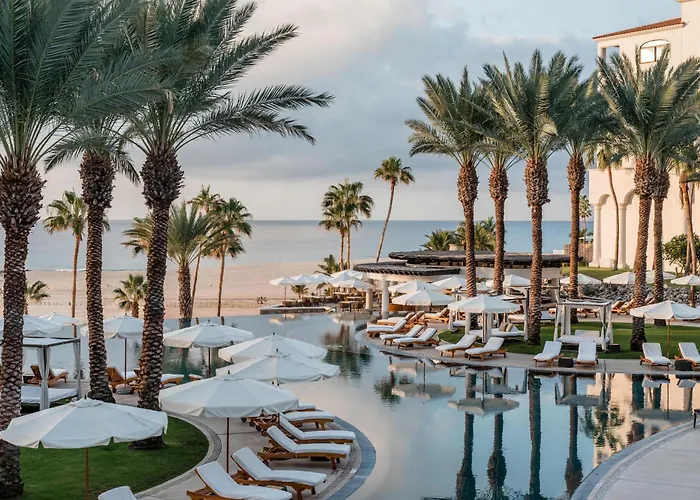 Pet Friendly hotel: Hilton Los Cabos