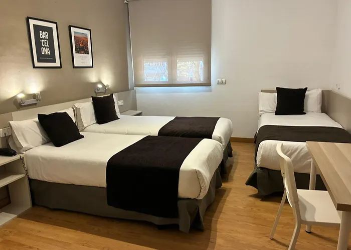 Pet Friendly hotel: Hotel Travessera