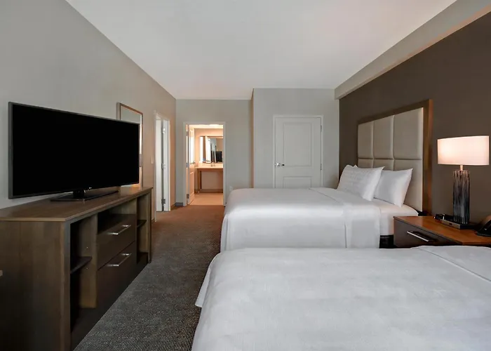 Pets Allowed Hotel Homewood Suites By Hilton Orlando Flamingo Crossings, Fl