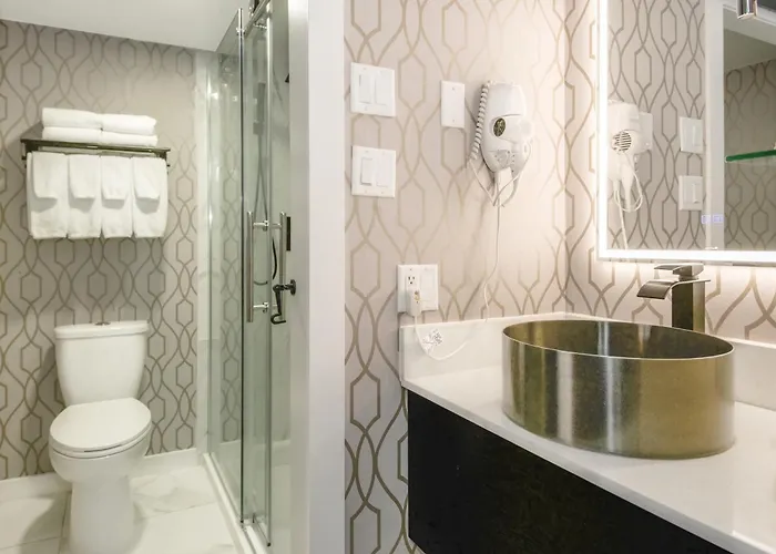 Pet Friendly hotel: The Vic, An Ascend Collection Hotel