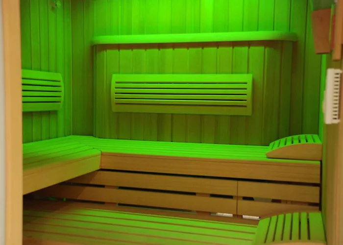 Hôtel accueillant les animaux: Holiday Inn Mulhouse By Ihg