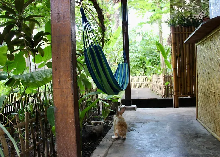 Follow The Rabbit Bungalow