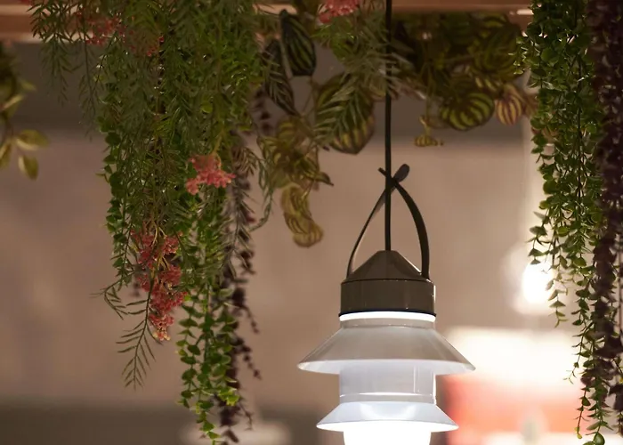 Pet Friendly hotel: Ibis Madrid Aeropuerto Barajas