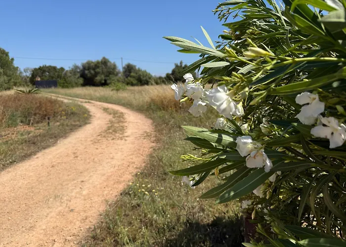 Finca Can Alba