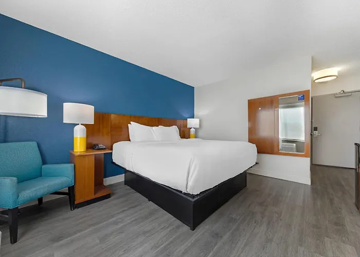 Pets Allowed Hotel Comfort Inn & Suites Mt Laurel-Philadelphia