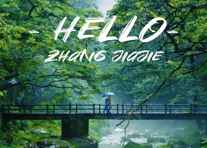 Zhangjiajie Forest Oxygen Bar Resort Hotel - New Hotel In 2026 Large& Buffet Breakfast&Gym&Near East Gate &Free Laundry Service & Mini Bar &Coffee And Travel Guide Explanation Of Tour Plan Reserve English Butler