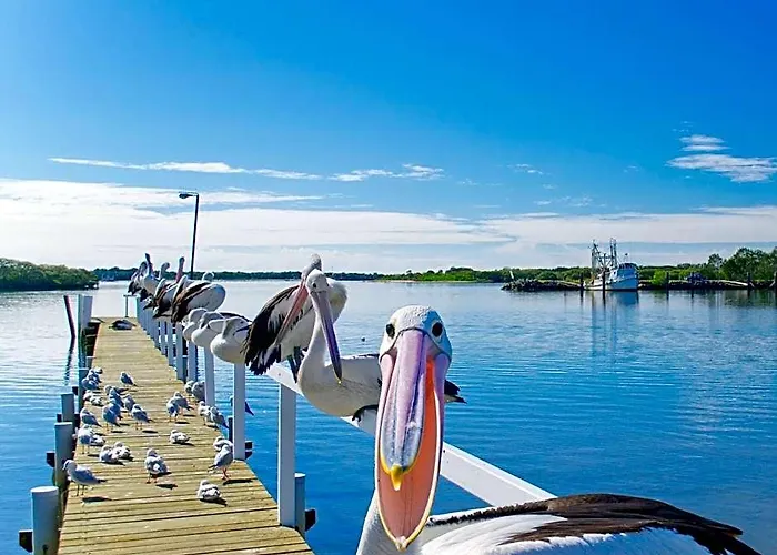 Moby Dick Waterfront Resort