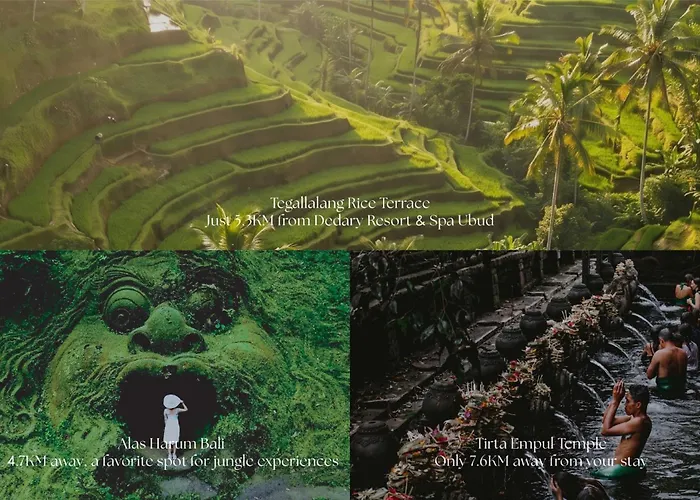 Hotel mit Hund Dedary & Spa Ubud By Ini Vie Hospitality