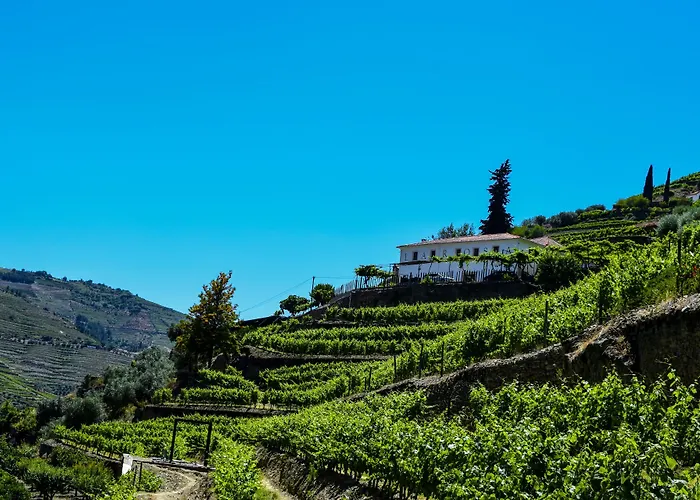  Quinta De La Rosa
