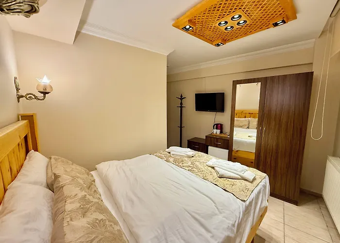Magnificent Hotel