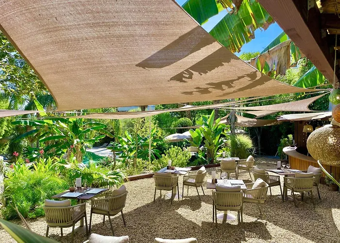 Cannes Villa St Barth