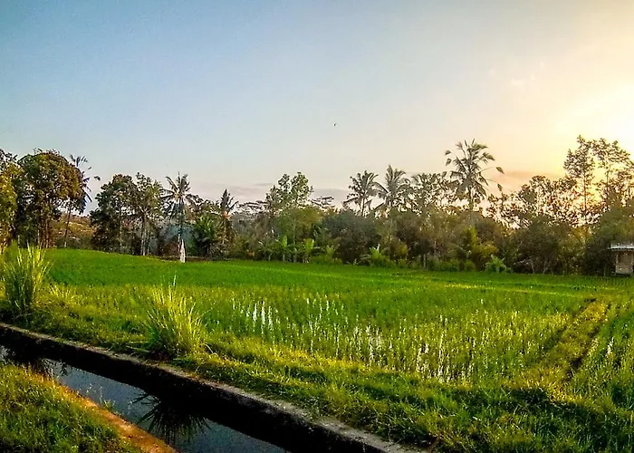 Ubud Paradise