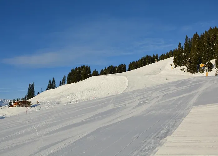 Privé villa: Wallegg Lodge - Alpine Premium Chalet - Ski In-Ski Out - Real Alpine Location Saalbach