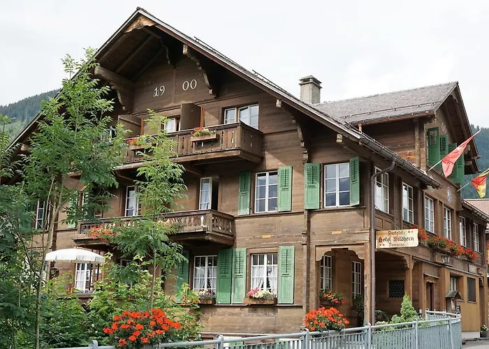 Haustierfreundliches Hotel: Hotel Wildhorn