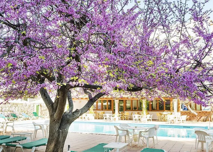 Hotel familiar: Hotel Gaya